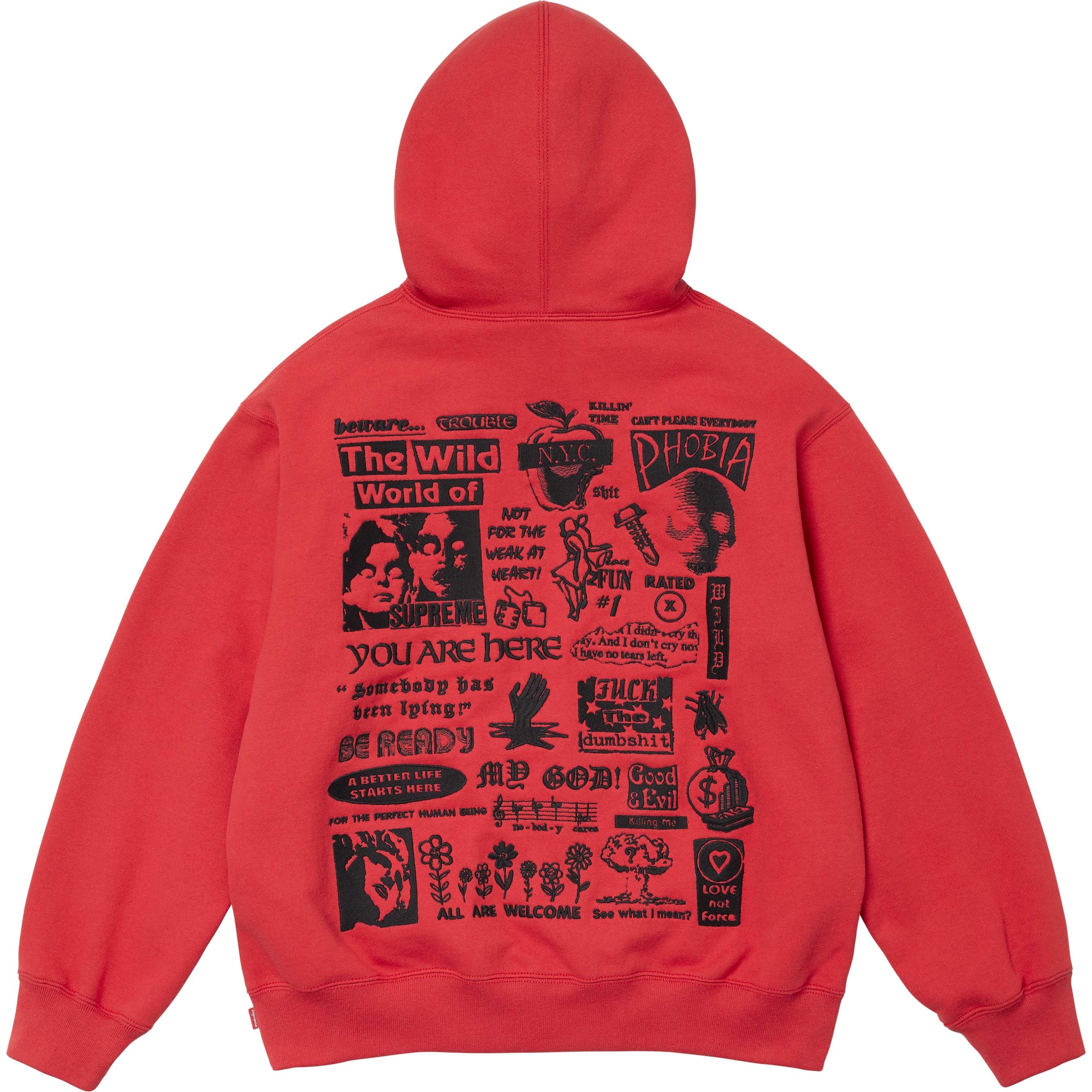 Wild Embroidered Hooded Sweatshirt view 3
